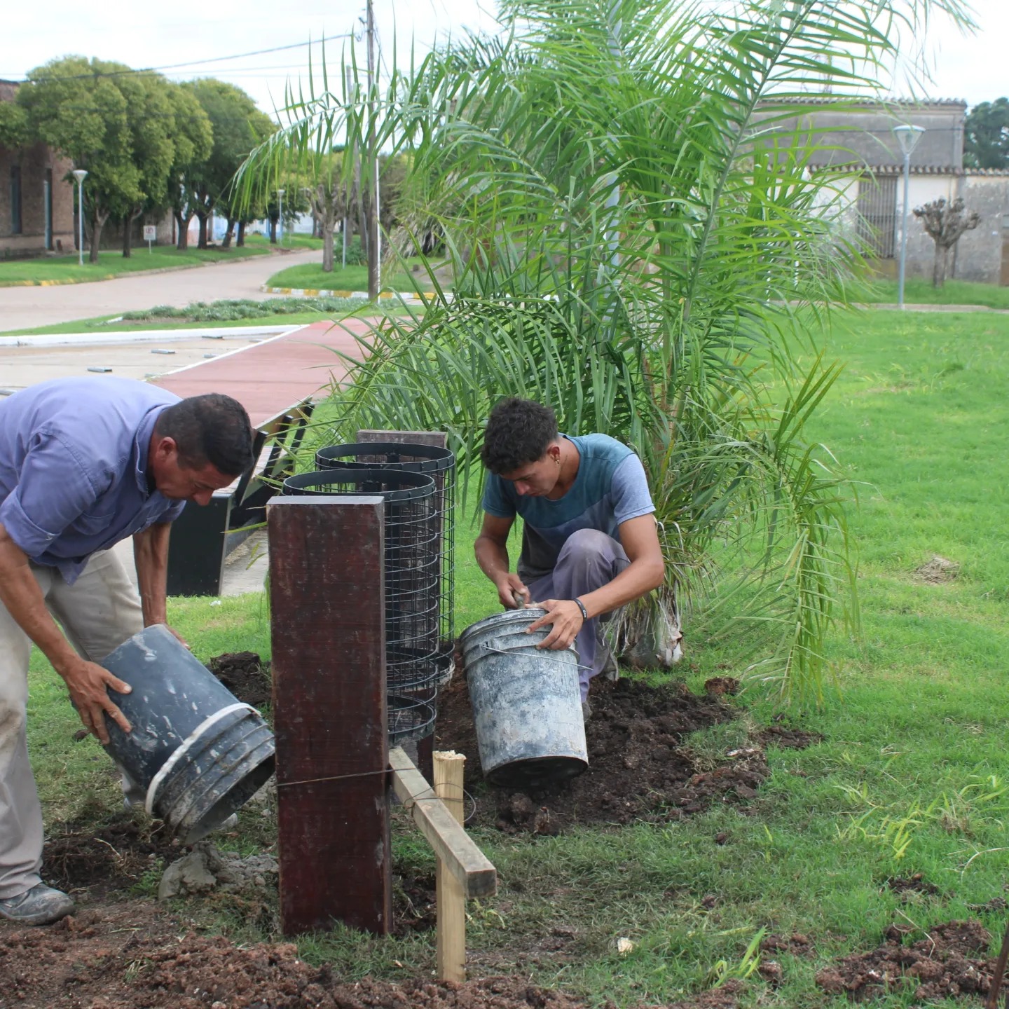 Imagen adicional