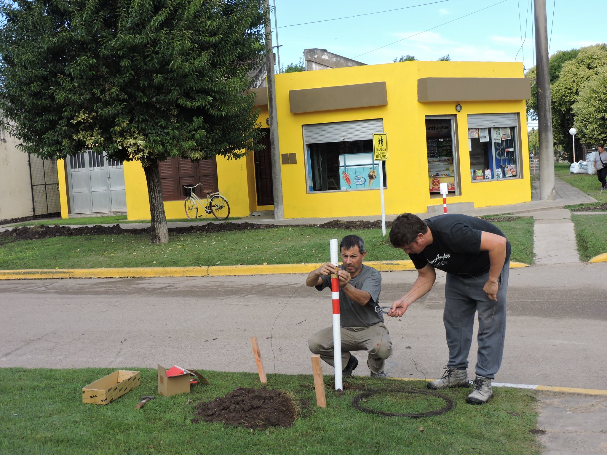 Imagen adicional