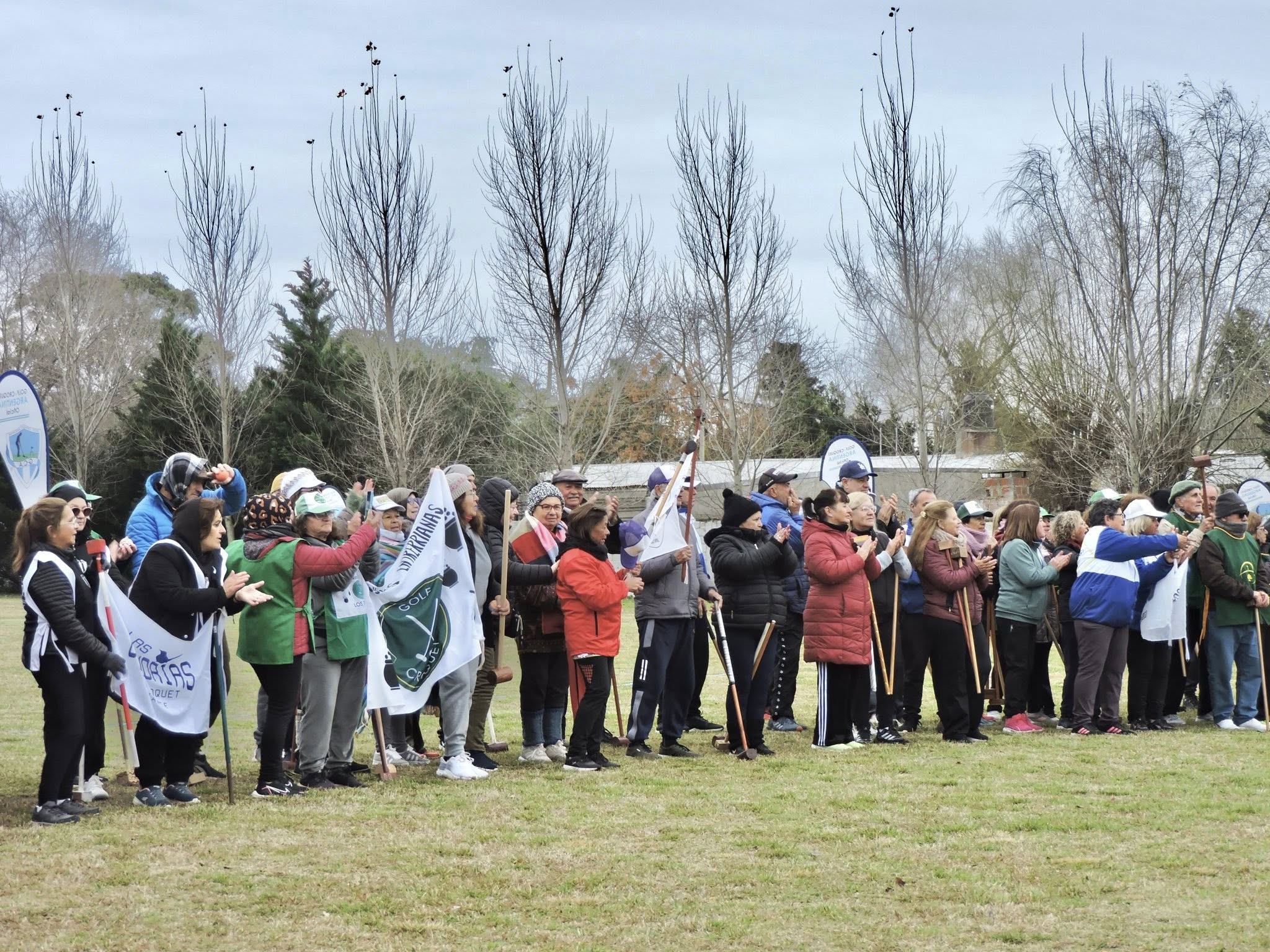 Imagen adicional