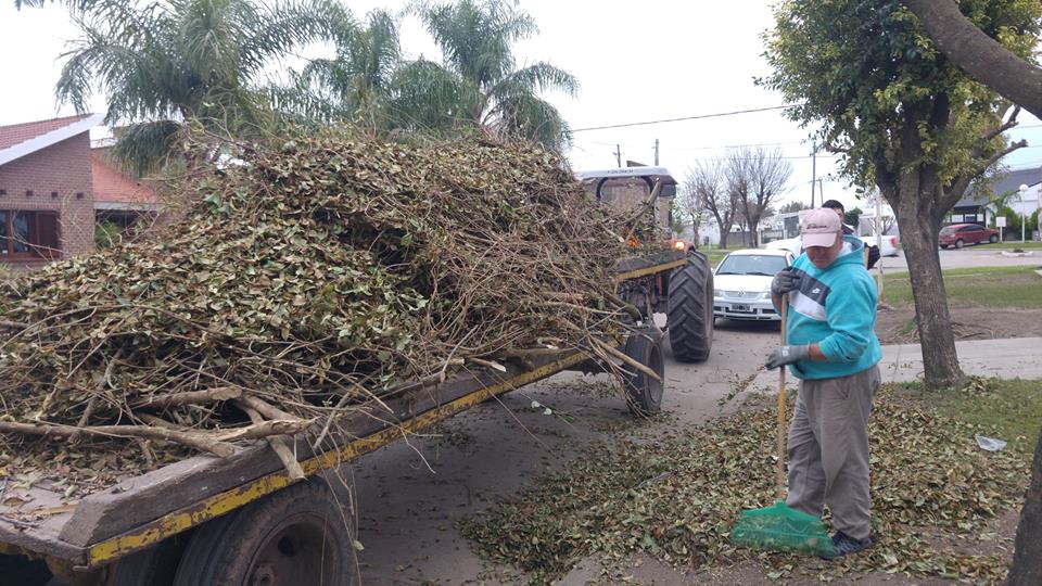 Imagen adicional