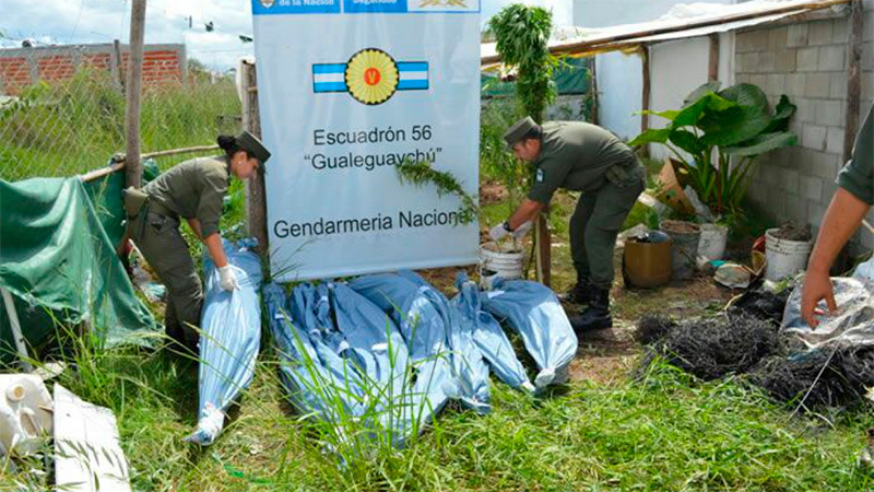 Imagen adicional