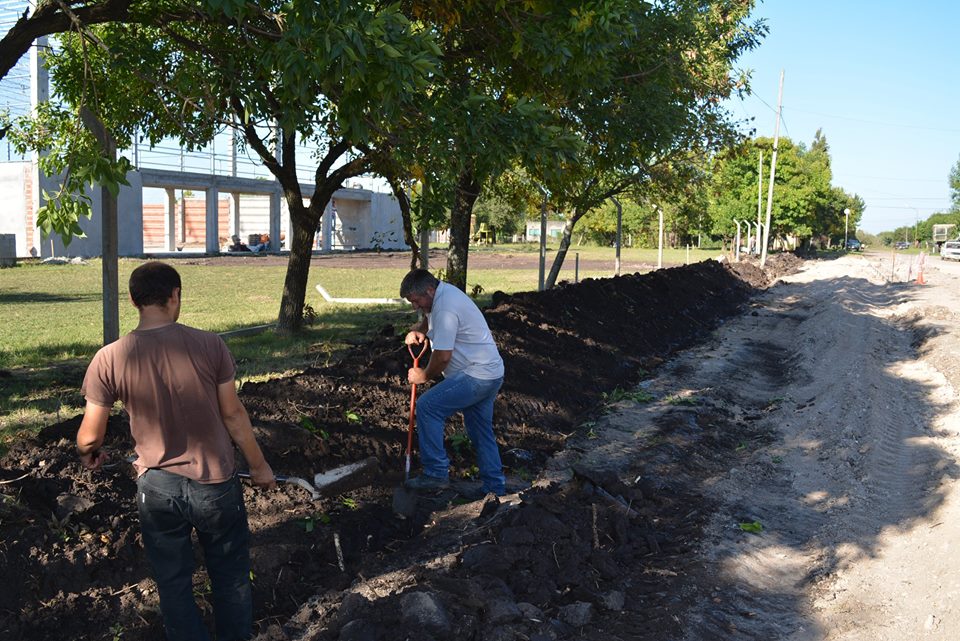 Imagen adicional