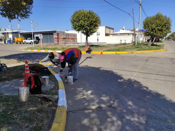 Imagen adicional